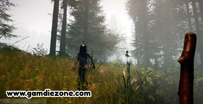 The Forest Fee download for PC - GamdieZone