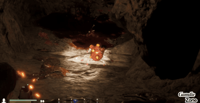 Find Oann Free Download PC Game Latest Version