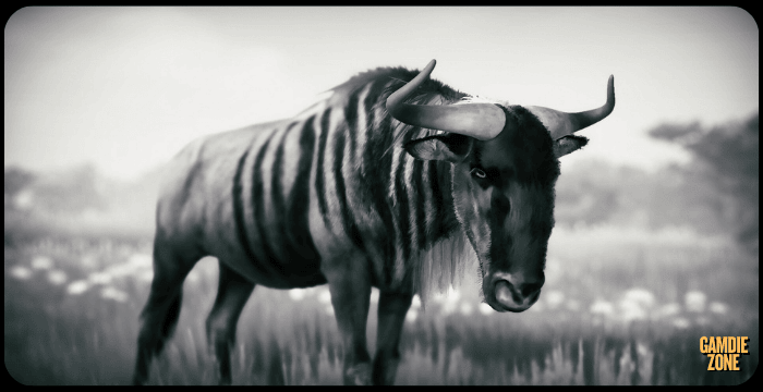 Seclusa PC Game Full Guide & Overview