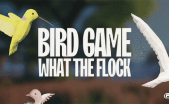 Bird Game: What The Flock Free Download